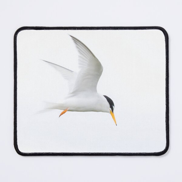 Item preview, Little Tern designed and sold by LaurenTucker.