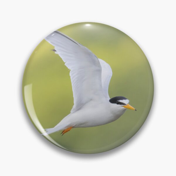 Item preview, Little Tern designed and sold by LaurenTucker.