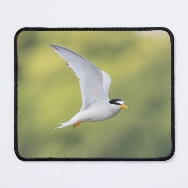 Item preview, Little Tern designed and sold by LaurenTucker.