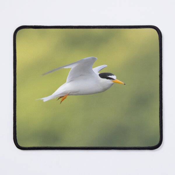 Item preview, Little Tern designed and sold by LaurenTucker.
