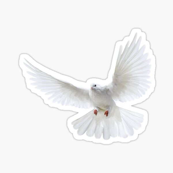 Item preview,  Pigeon Clothing/Pigeon shirt/Pigeon accessories/  for pigeon lovers designed and sold by Dear  Garment.