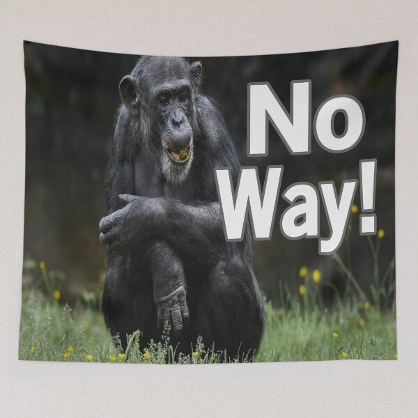 Item preview, No Way! designed and sold by Surreallytee.