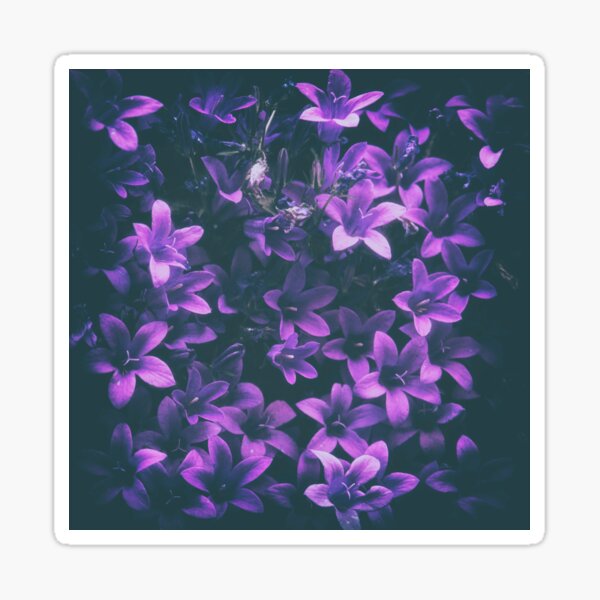 Aperçu de l'œuvre Magie mauve créée et vendue par ElderIslesPress.