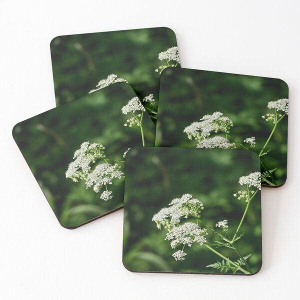Item preview, Lace. Cow parsley designed and sold by Jouko Lehto Photography.