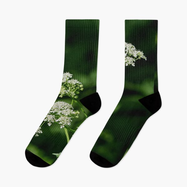 Item preview, Lace. Cow parsley designed and sold by Jouko Lehto Photography.
