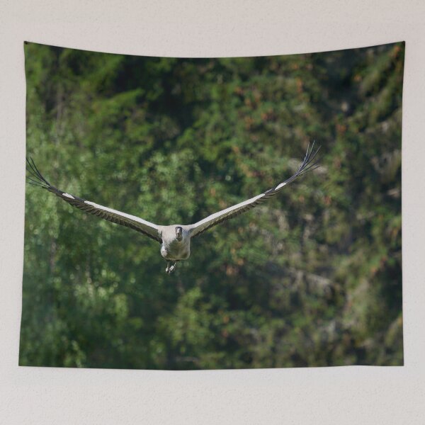 Item preview, Getting here. Eurasian crane designed and sold by Jouko Lehto Photography.