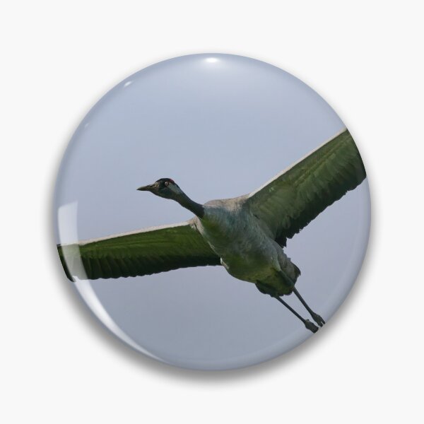 Item preview, Greens from the fields. Eurasian crane designed and sold by Jouko Lehto Photography.