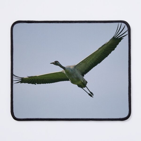 Item preview, Greens from the fields. Eurasian crane designed and sold by Jouko Lehto Photography.
