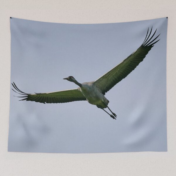 Item preview, Greens from the fields. Eurasian crane designed and sold by Jouko Lehto Photography.