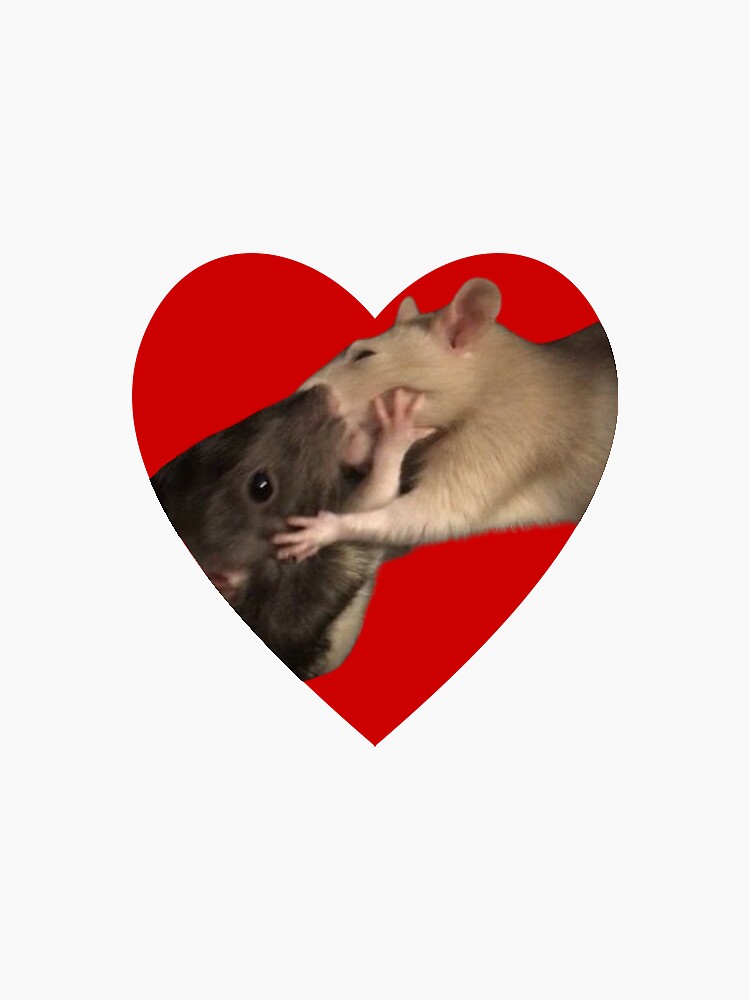Rat love