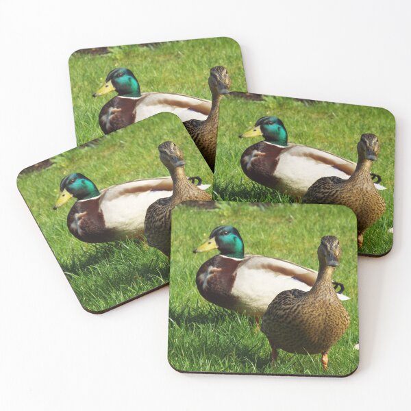 Item preview, Two Ducks designed and sold by PatternsbyHat.