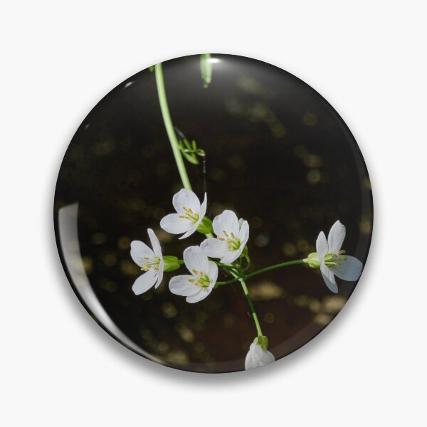 Item preview, By the dike. Cuckoo Flower designed and sold by Jouko Lehto Photography.