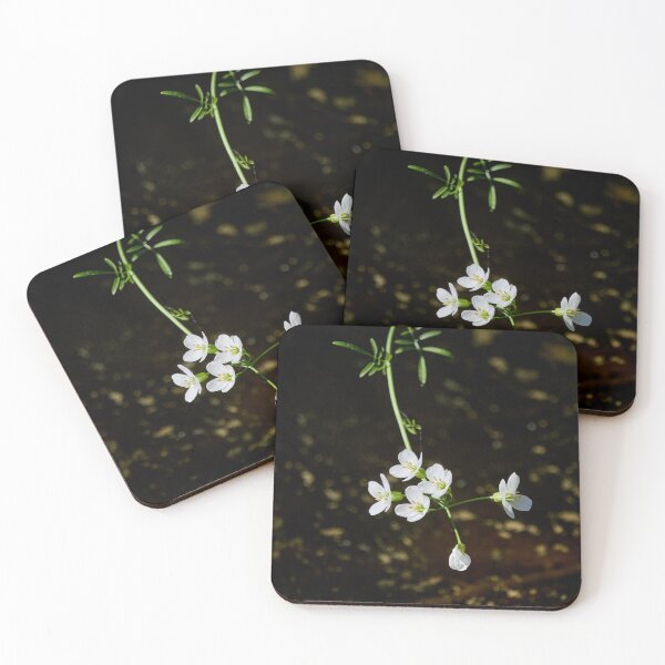 Item preview, By the dike. Cuckoo Flower designed and sold by Jouko Lehto Photography.
