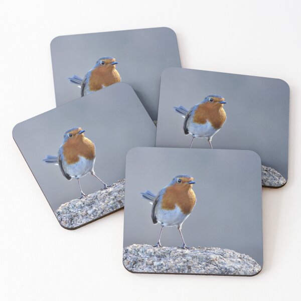Item preview, Robin Redbreast designed and sold by Tom McPherson Photography.
