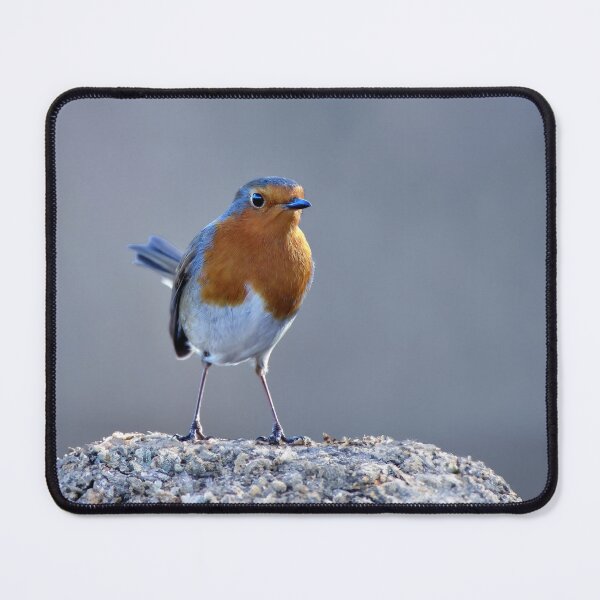 Item preview, Robin Redbreast designed and sold by Tom McPherson Photography.