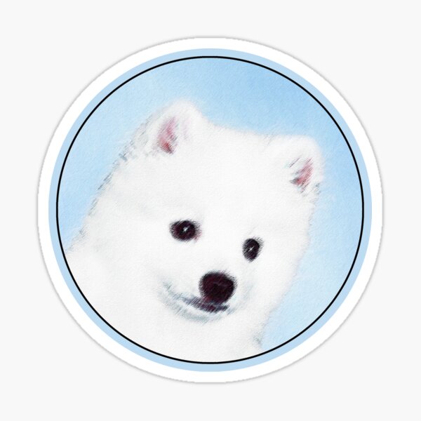 American Eskimo Sticker