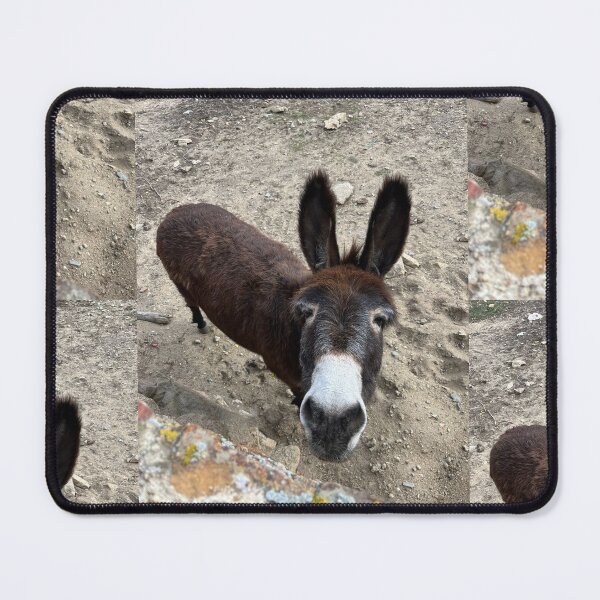 Item preview, Donkey designed and sold by CCanelaG.