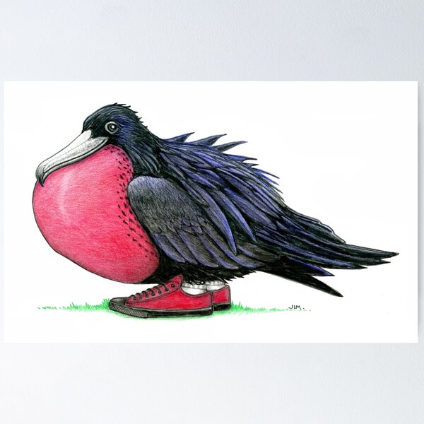 Item preview, Frigate Bird in High Heels designed and sold by JimsBirds.