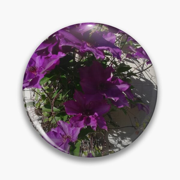 Item preview, Purple clematis trellis photograph  designed and sold by esvb.