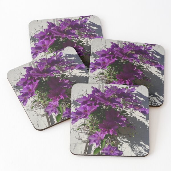 Item preview, Purple clematis trellis photograph  designed and sold by esvb.