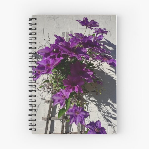 Item preview, Purple clematis trellis photograph  designed and sold by esvb.