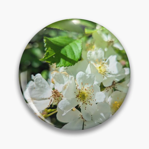 Item preview, Wild rose  designed and sold by Margwizart.