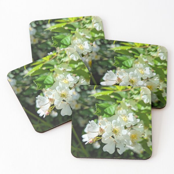 Item preview, Wild rose  designed and sold by Margwizart.