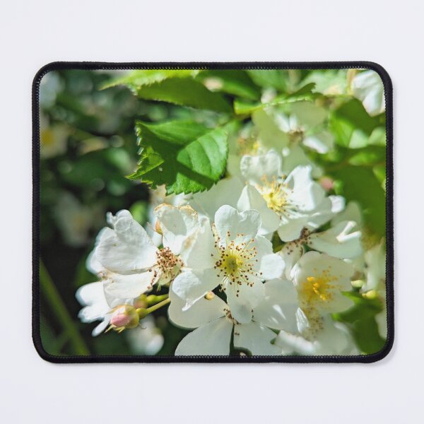 Item preview, Wild rose  designed and sold by Margwizart.