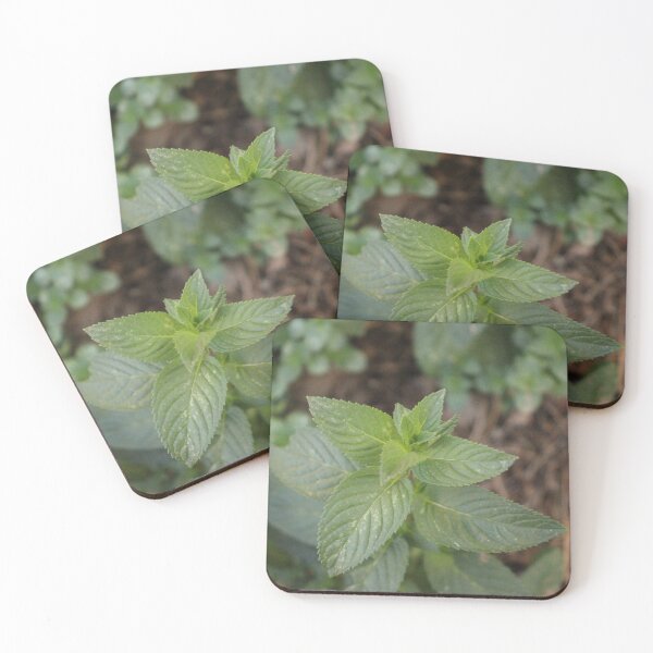 Item preview, Mint Leaves designed and sold by PresMatPlays.