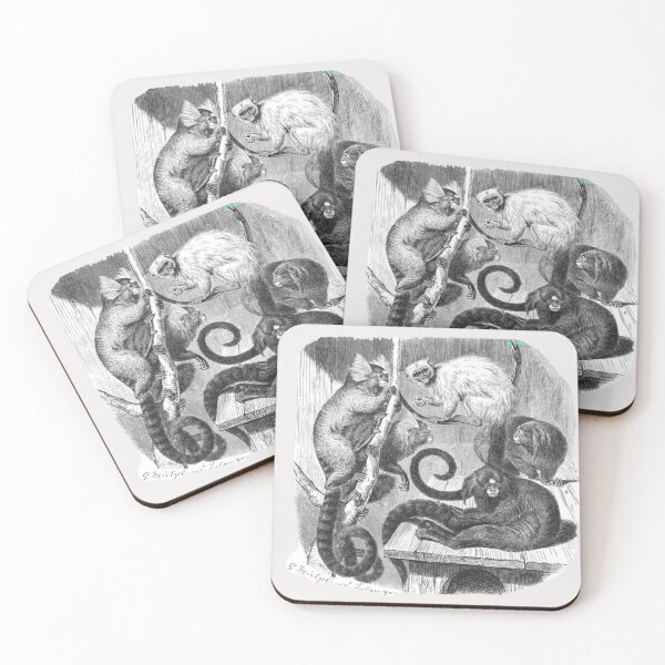 Item preview,  Marmosets by Gustav Mützel designed and sold by Amanda1775.