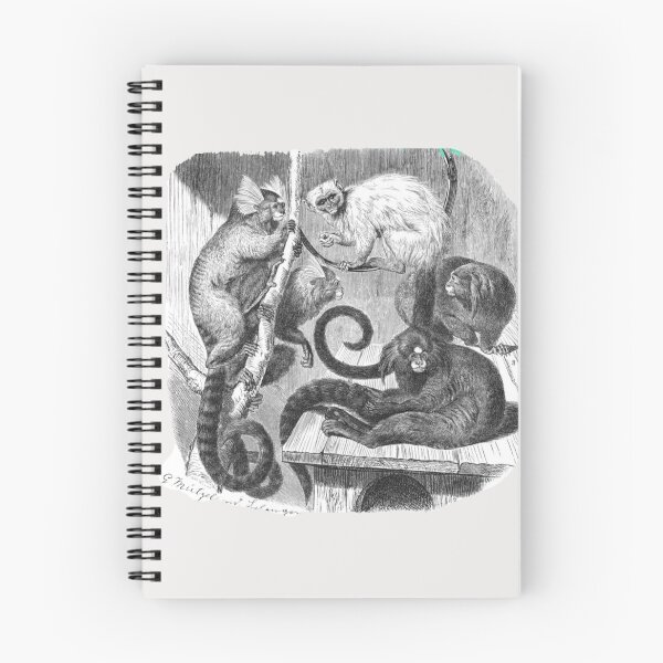 Item preview,  Marmosets by Gustav Mützel designed and sold by Amanda1775.