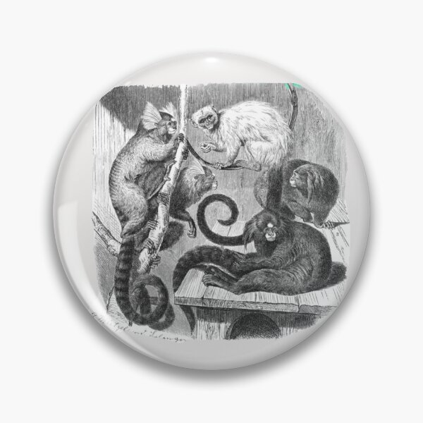 Item preview,  Marmosets by Gustav Mützel designed and sold by Amanda1775.