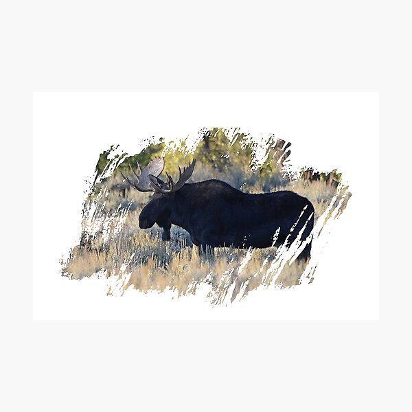 Item preview, Bull Moose designed and sold by Whisperingpeaks.