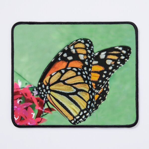 Item preview, Butterfly King designed and sold by heatherfriedman.