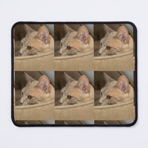 Item preview, Yes I’m PurrCutnesssss !!!! designed and sold by NatureSoReal.
