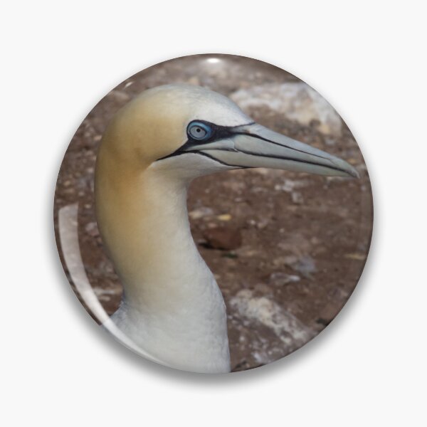 Item preview, One Single Gannet designed and sold by OddParallels.