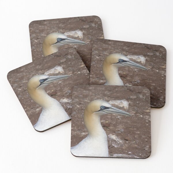 Item preview, One Single Gannet designed and sold by OddParallels.