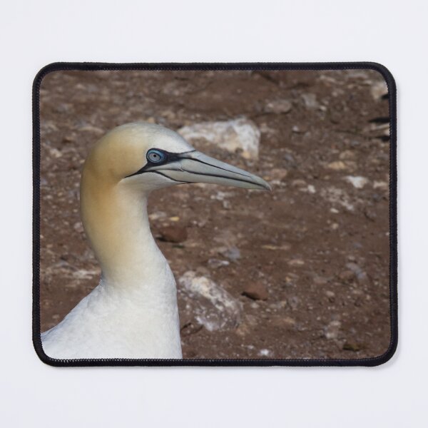Item preview, One Single Gannet designed and sold by OddParallels.