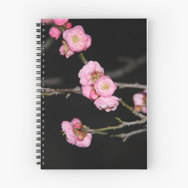 Item preview, Spring - Pink and Black designed and sold by agnessa38.