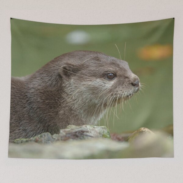 Item preview, Otter at the Water's Edge designed and sold by rawshutterbug.