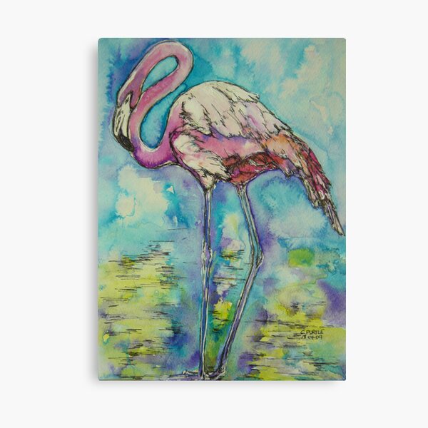 Flamingo Canvas Print