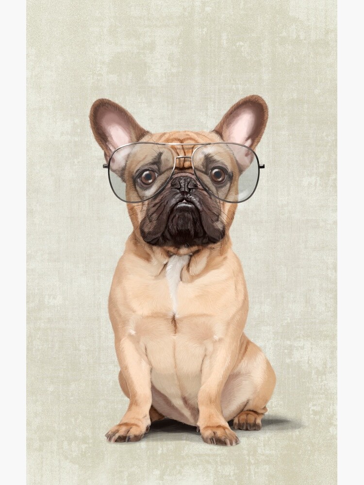 Mr Bulldog by Sparafuori