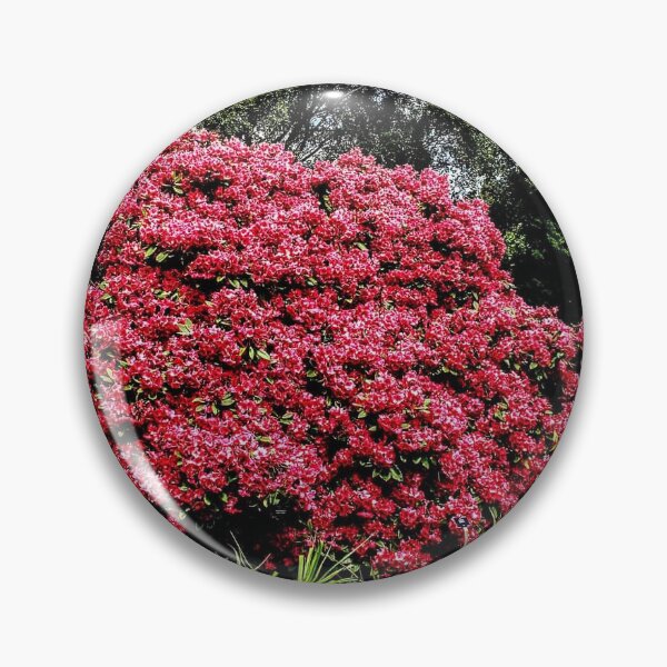 Item preview, Azalea bush designed and sold by Dagon-Photos.