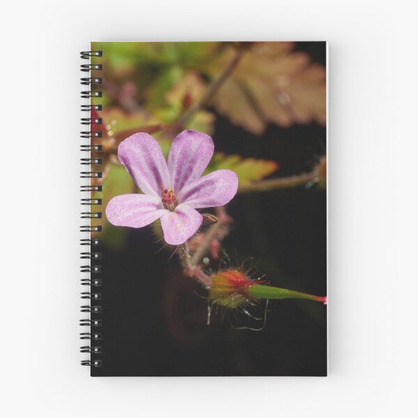 Item preview, Geranium Robertianum  designed and sold by Eidetic Photos.