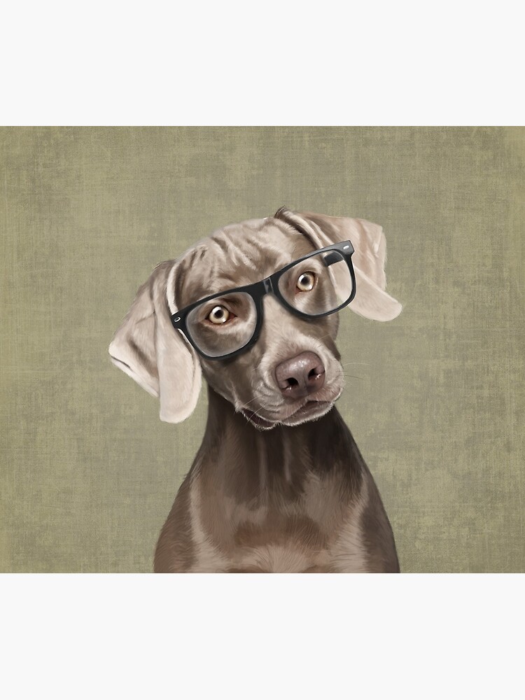 Mr Weimaraner by Sparafuori