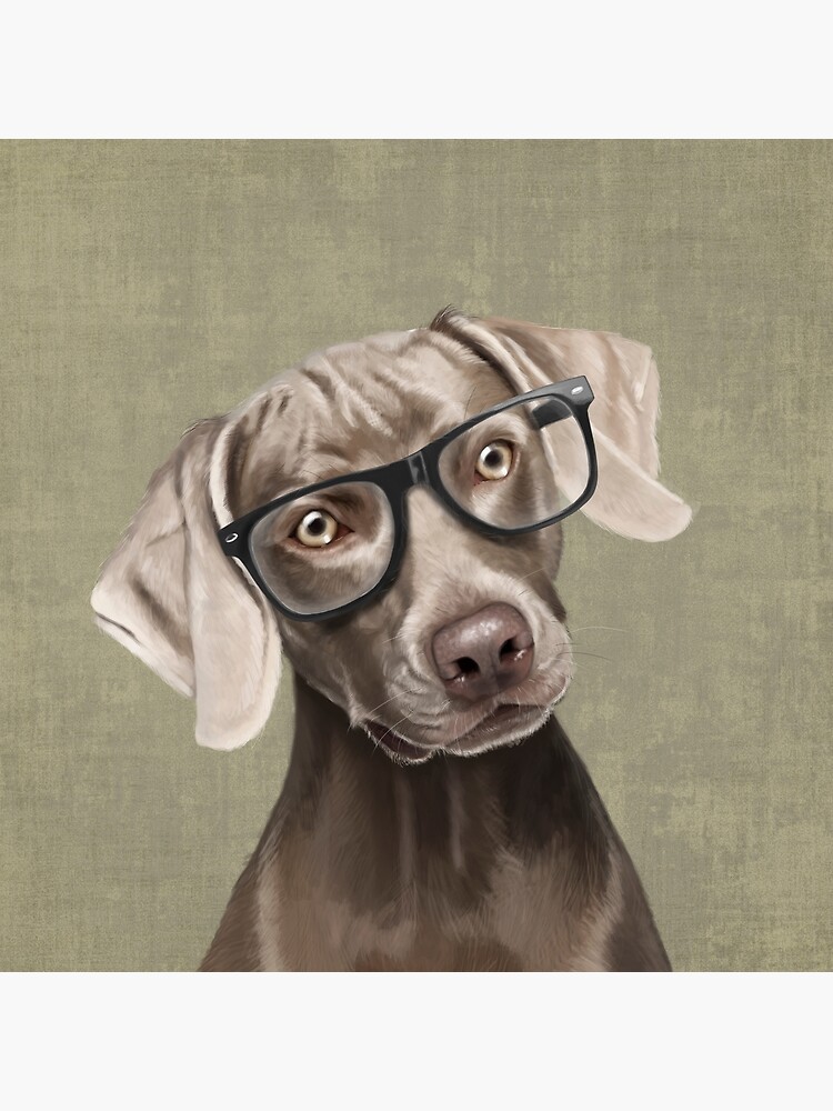 Mr Weimaraner by Sparafuori