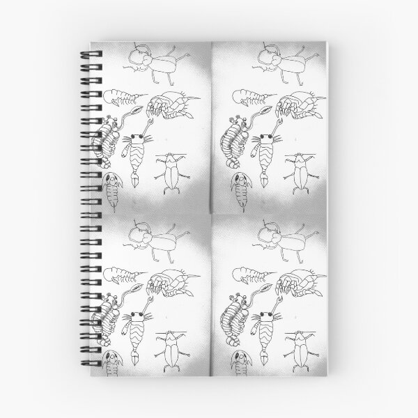 Item preview, Filtered drawing of various insects designed and sold by Carré Comme Orange.