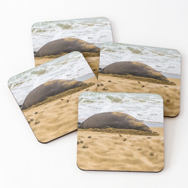 Item preview,  Hawaiian monk seal 2 designed and sold by KensLensDesigns.