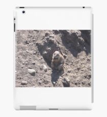 Fat Groundhog iPad Case/Skin