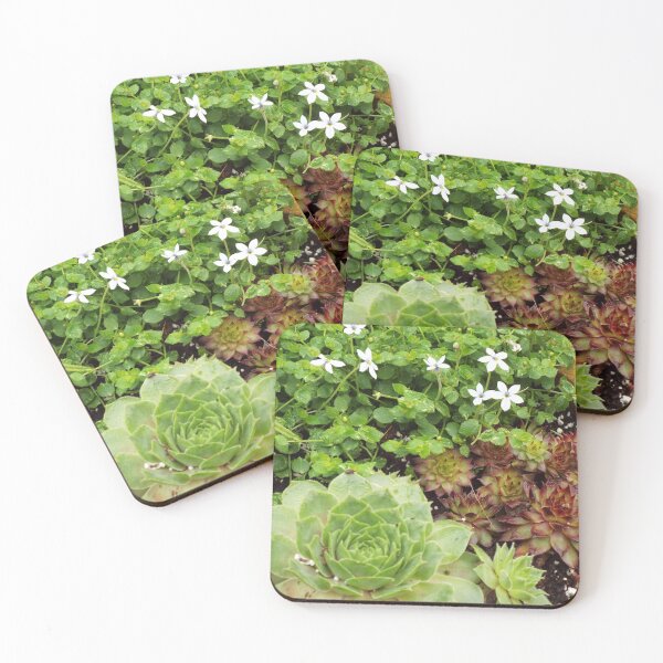 Item preview, Succulents designed and sold by PatternsbyHat.